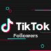 Tiktok followers