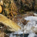 Dirty waste water merges into a clean forest stream. Landscape concept - pollution of the environment. Winter european landscape