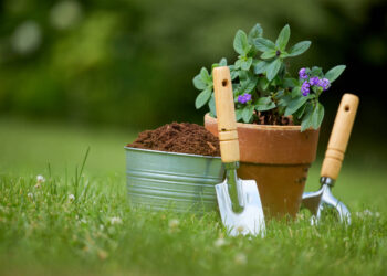 gardening tools and plants in the garden